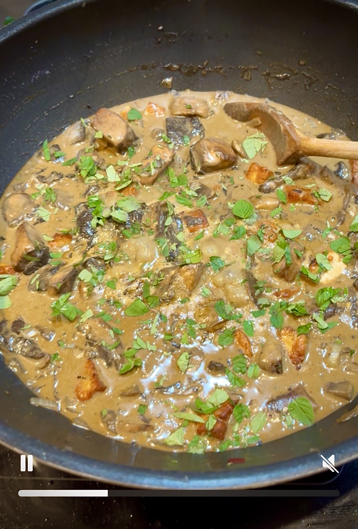 Mushroom and Halloumi Stroganoff